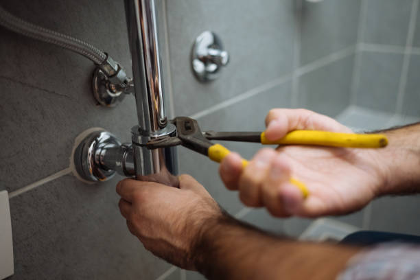 Professional Plumber in Tower Lakes, IL